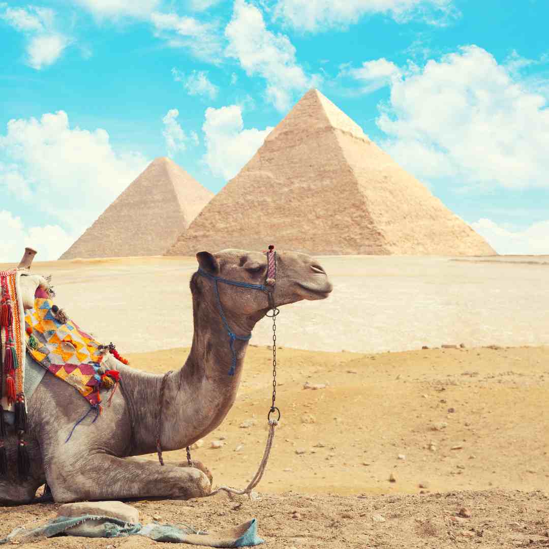 Réserver voyage Égypte 