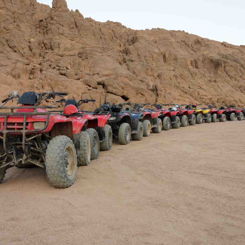 Safari